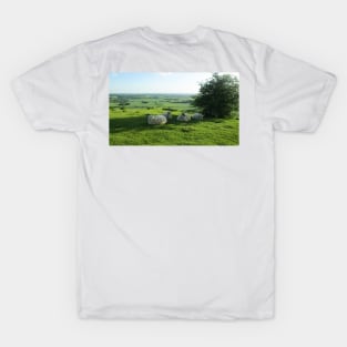 Sheep Relaxing on a Hilltop T-Shirt